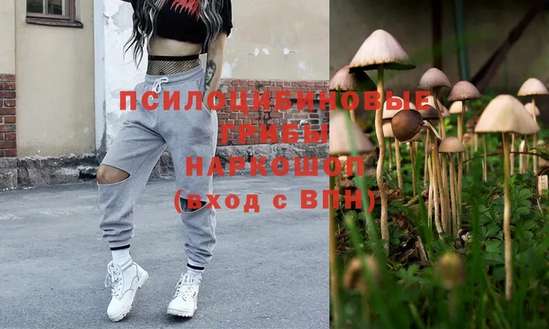 Галлюциногенные грибы MAGIC MUSHROOMS Николаевск